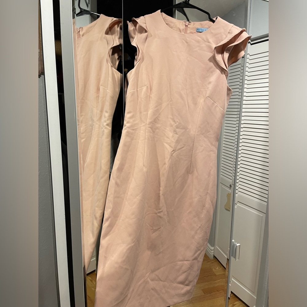 Light pink Antonio melani size 2 dress.